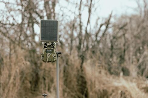Moultrie Edge Solar Cellular Trail Camera - Integrated Solar, Mossy Oak | Mossy Oak camo, integrated solar, built-in battery, Scout from Anywhere, HD photos, 40MP, 1080p video, multi-carrier in Kuwait