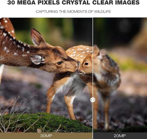WiFi Trail Camera, 48MP Game Camera with Bluetooth, 1080P Night Vision 0.2s Trigger Time Motion Activated 120° Wide Angle View Wildlife Camera, IP66 Waterproof Hunting Camera for Outdoor | 0.2s Trigger Time Motion Activated 120° Wide Angle View Wildlife C in Kuwait