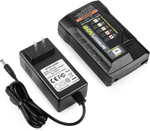 energup 2Port OP401 Charger for Ryobi 40 Volt Battery, Dual Ports Compatible with 40V OP4015 OP4026 OP4040 OP4050 OP4060, for Lith-ion Ryobi 40V Battery Charger in Kuwait