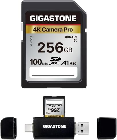 【5-Years Data Recovery】 GIGASTONE 256GB SD Card, 4K Camera Pro, UHS-I A1 V30 SDXC Memory Card 4K UHD Video Speed up to 100MB/s Compatible with Digital Camera, with 1 Mini Case in Kuwait
