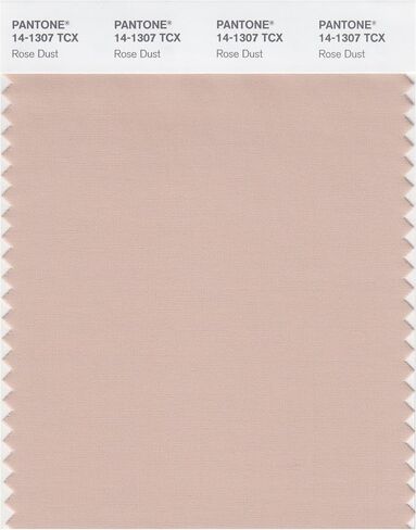 PANTONE SMART 14-1309X Color Swatch Card, Peach Whip in Kuwait
