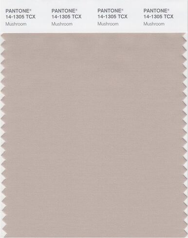 PANTONE SMART 14-1309X Color Swatch Card, Peach Whip in Kuwait