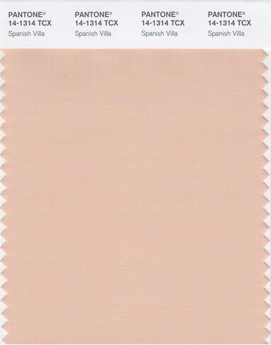 PANTONE SMART 14-1309X Color Swatch Card, Peach Whip in Kuwait