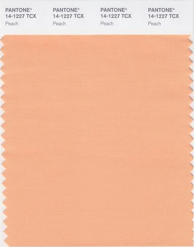 PANTONE SMART 14-1309X Color Swatch Card, Peach Whip in Kuwait