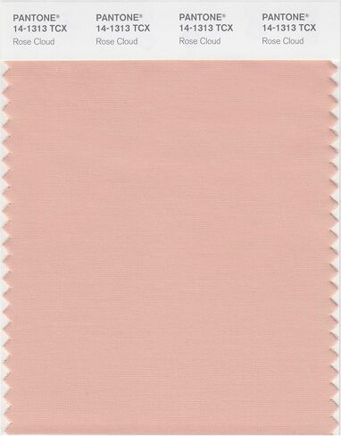 PANTONE SMART 14-1309X Color Swatch Card, Peach Whip in Kuwait