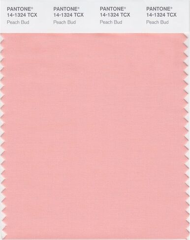 PANTONE SMART 14-1309X Color Swatch Card, Peach Whip in Kuwait