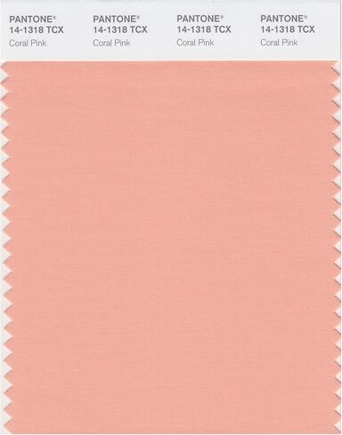 PANTONE SMART 14-1309X Color Swatch Card, Peach Whip in Kuwait