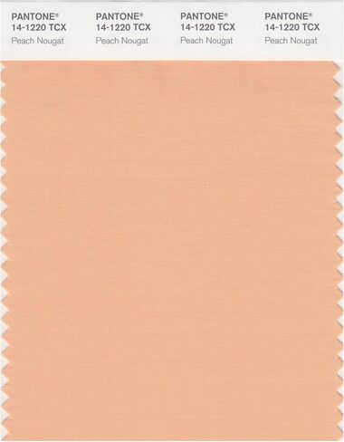 PANTONE SMART 14-1309X Color Swatch Card, Peach Whip in Kuwait