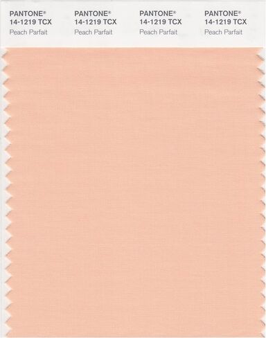 PANTONE SMART 14-1309X Color Swatch Card, Peach Whip in Kuwait