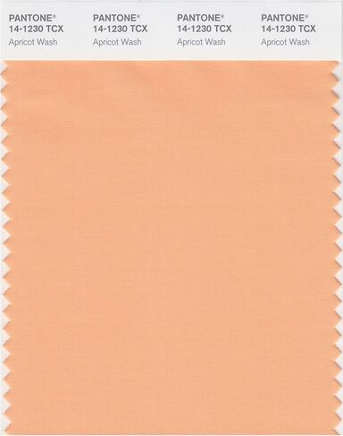 PANTONE SMART 14-1309X Color Swatch Card, Peach Whip in Kuwait