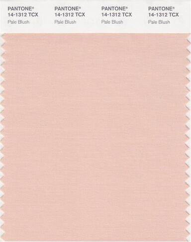 PANTONE SMART 14-1309X Color Swatch Card, Peach Whip in Kuwait