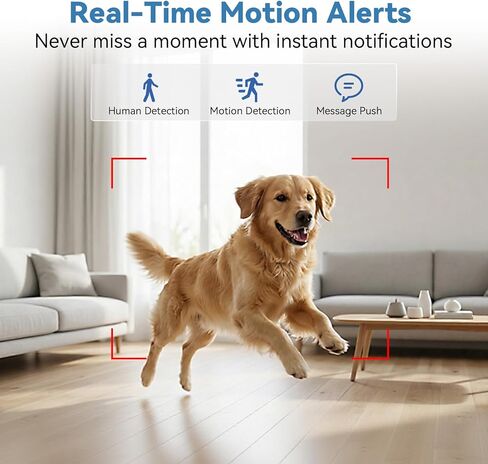 1080P HD WiFi Wireless Camera Charge for Home with App Control & Motion Detection,Indoor Security Camera with USB Phone Charge, Night Vision & Loop Recording for Office,Garage,Shop,Pet in Kuwait