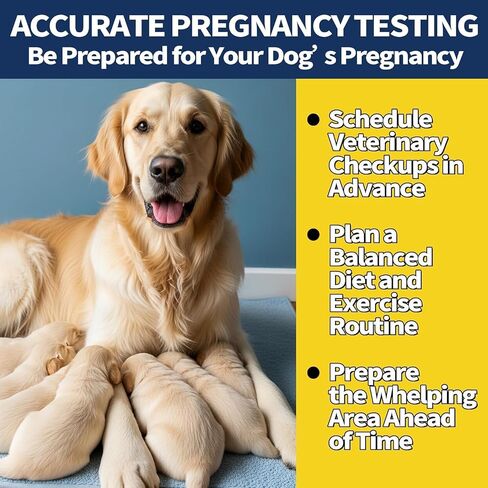 Canine Pregnancy Test Kit, Minimal Ear-Edge Blood Sample, Disposable Strips, Fast Visual Indicator, 5-Minute Reading, Gentle & Clean Design, Dogs Breeding Monitor, 2 Count in Kuwait