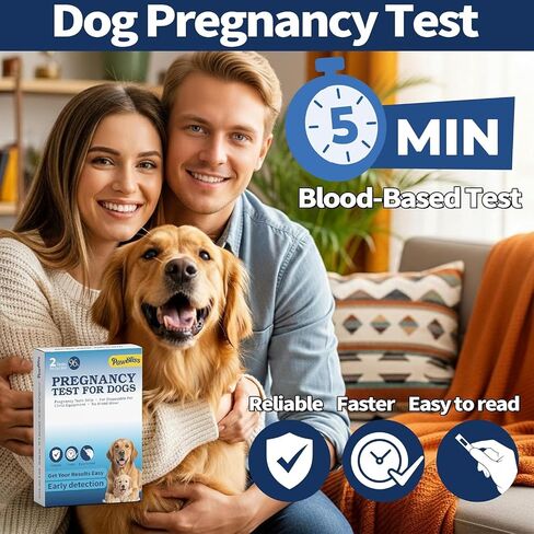 Canine Pregnancy Test Kit, Minimal Ear-Edge Blood Sample, Disposable Strips, Fast Visual Indicator, 5-Minute Reading, Gentle & Clean Design, Dogs Breeding Monitor, 2 Count in Kuwait
