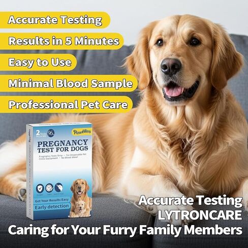 Canine Pregnancy Test Kit, Minimal Ear-Edge Blood Sample, Disposable Strips, Fast Visual Indicator, 5-Minute Reading, Gentle & Clean Design, Dogs Breeding Monitor, 2 Count in Kuwait