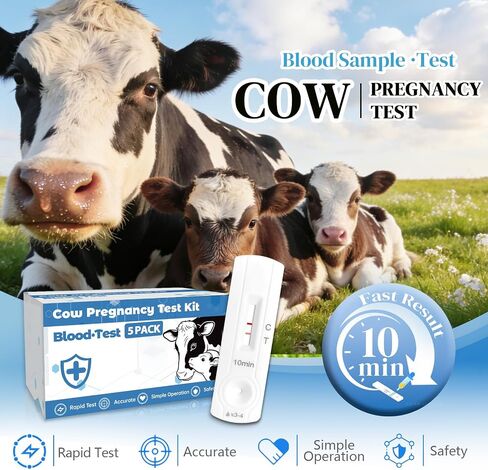 Bovine Pregnancy Test Kit (5 Tests) - Rapid Serum/Plasma Detection for Cows, Fast 5-20 Minute Results, High Sensitivity Early Pregnancy Monitoring for Dairy & Beef Cattle in Kuwait