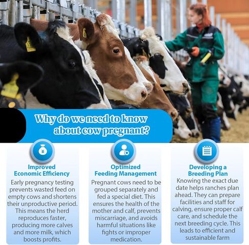 Bovine Pregnancy Test Kit (5 Tests) - Rapid Serum/Plasma Detection for Cows, Fast 5-20 Minute Results, High Sensitivity Early Pregnancy Monitoring for Dairy & Beef Cattle in Kuwait