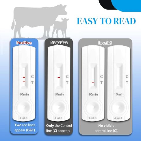 Bovine Pregnancy Test Kit (5 Tests) - Rapid Serum/Plasma Detection for Cows, Fast 5-20 Minute Results, High Sensitivity Early Pregnancy Monitoring for Dairy & Beef Cattle in Kuwait