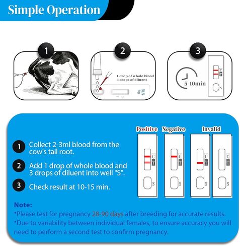 Bovine Pregnancy Test Kit (5 Tests) - Rapid Serum/Plasma Detection for Cows, Fast 5-20 Minute Results, High Sensitivity Early Pregnancy Monitoring for Dairy & Beef Cattle in Kuwait