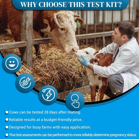 Bovine Pregnancy Test Kit (5 Tests) - Rapid Serum/Plasma Detection for Cows, Fast 5-20 Minute Results, High Sensitivity Early Pregnancy Monitoring for Dairy & Beef Cattle in Kuwait
