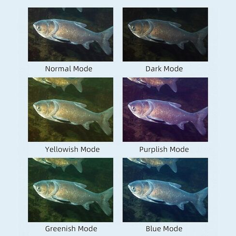 Fabater Underwater Fishing Camera, 5.0 Inch HD Screen 1500cd Brightness Ice Fishing Camera, Fish Finder with Adjustable Backlight Background Color for Ice Underwater in Kuwait