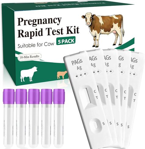Bovine Pregnancy Test Kit for Cows (5 Tests) – Rapid Results in 5-20 Minutes – Early Gestation Detection at 28 Days – for Dairy & Beef Cattle in Kuwait