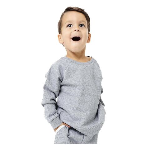 Copper Pearl Crew Sweatshirt: Ultra-Soft Gender Neutral Toddler Sweatshirt, Perfect Cozy, Classic Fit Baby Sweatshirt for Baby Boy Clothes and Baby Girl Clothes - Gray, 18-24m in Kuwait