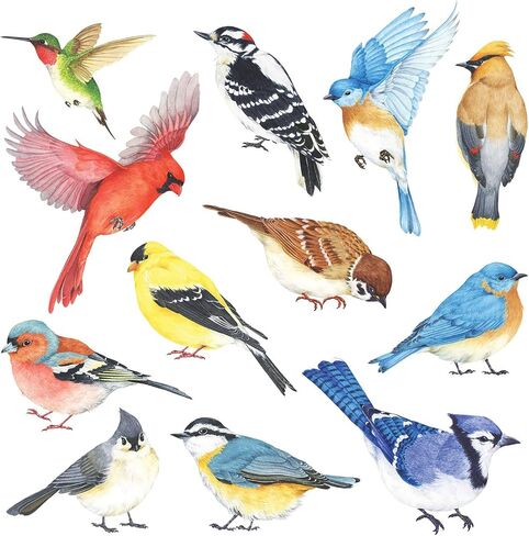 DECOWALL Colorful Birds Wall Stickers Decals Peel and Stick (DS2-8042) | Hand-drawn watercolor songbirds with realistic details; removable nature decor for living room, bedroom, nursery and office in Kuwait