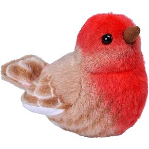 Finch, House