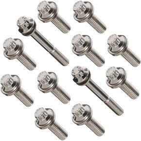 ARP 4942101 Stainless 300 12-Point Intake Manifold Bolt Kit