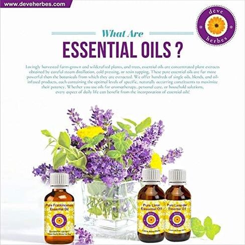 Deve Herbes Pure Bay Laurel Leaf Essential Oil (Laurus nobilis) Steam Distilled 15ml (0.50 oz) in Saudi Arabia