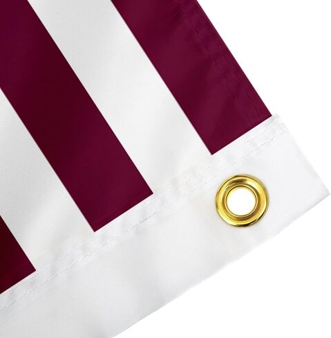 Desert Cactus Texas A&M University Flag Aggies TAMU Flags Banners 100% Polyester Indoor Outdoor 3x5 (Style Nation) in Saudi Arabia