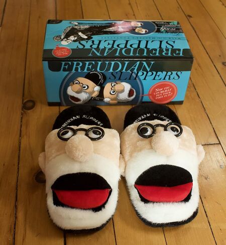 The Unemployed Philosophers Guild Freudian Slippers - Comfy Plush Slip-On Footwear with Sigmund Freud's Head and Funny Built-in Sock Tongue, Size Small in Kuwait