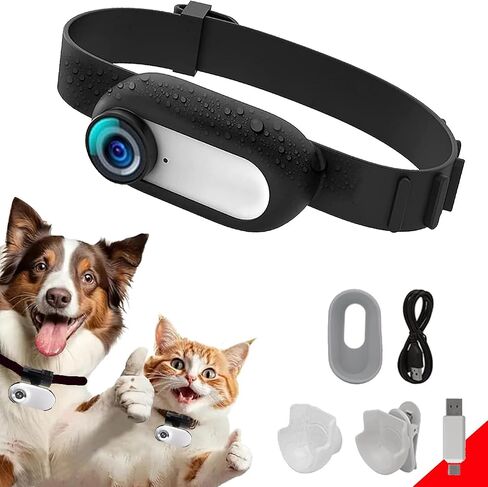 HD 1080P Cat Camera Collar with Video Record Wireless Mini Sport cam,Small Action Cameras,Body Camera for Pet Supplies/Stuff,Outdoor/Inoor Birthday Gift No WiFi in Kuwait