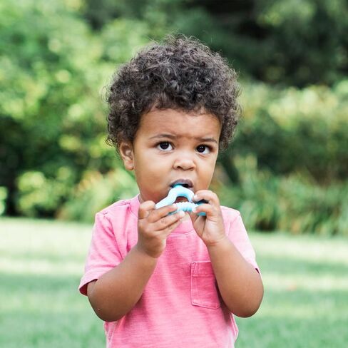Green Sprouts Silicone Molar Teether, 12mo+, Platinum-Cured Silicone, Sterilizer Safe, Tested for Hormones - Light Blueberry in Kuwait