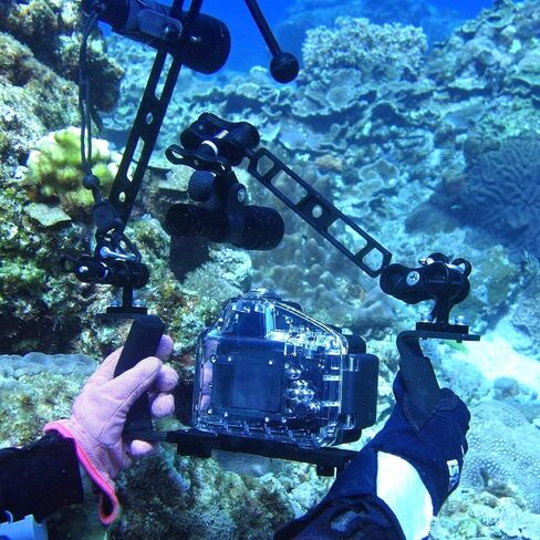 2 Pcs 1" Aluminum Ball Clamp Mount for Underwater Diving Light Arms Tray System, Photography Diving Camera in Kuwait