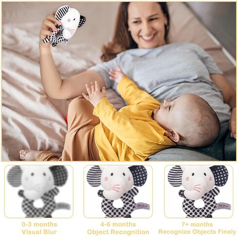 iAOVUEBY Baby Gift Set, Baby Shower Gifts, Black and White High Contrast Baby Toys 0-6 Months for Newborn Essentials Infant Rattle Socks Elephant Toys Blanket Onesies Baby Gift Basket for Girls Boys in Saudi Arabia