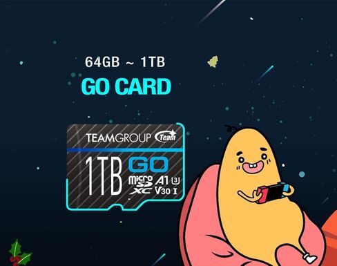 TEAMGROUP GO Card 256GB MicroSDXC UHS-I U3 V30 4K for Action Cameras & Drone High Speed Flash Memory Card with Adapter for Outdoor Sports&Vlog, 4K Shooting,GoPro&Insta360&DJI TGUSDX256GU303 in Kuwait