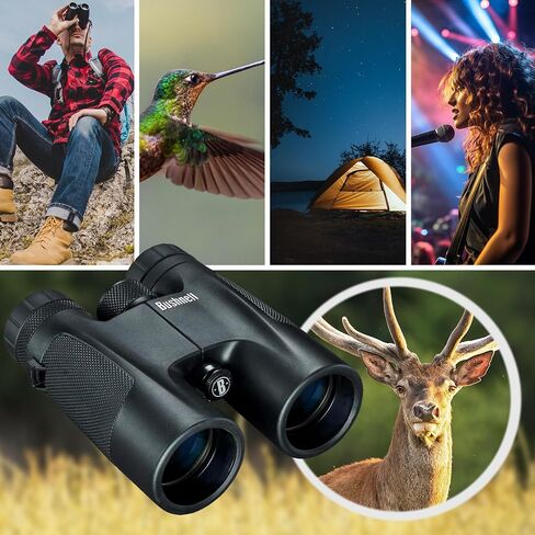 Bushnell 10 x 42 Powerview Roof Prism Binocular in Kuwait