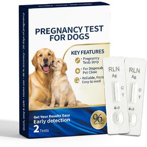 Canine Pregnancy Test Kit, Early Dog Breeding Verification Set, Rapid 5-Minute Visual Outcome, Gentle Ear Blood Droplet Method, Convenient Clean Gestation Check, 2 Count in Kuwait