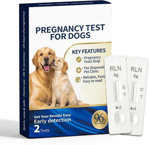 Canine Pregnancy Test Kit, Early Dog Breeding Verification Set, Rapid 5-Minute Visual Outcome, Gentle Ear Blood Droplet Method, Convenient Clean Gestation Check, 2 Count in Kuwait