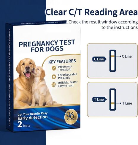Canine Pregnancy Test Kit, Early Dog Breeding Verification Set, Rapid 5-Minute Visual Outcome, Gentle Ear Blood Droplet Method, Convenient Clean Gestation Check, 2 Count in Kuwait