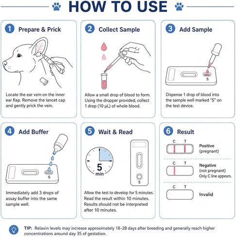 Canine Pregnancy Test Kit, Early Dog Breeding Verification Set, Rapid 5-Minute Visual Outcome, Gentle Ear Blood Droplet Method, Convenient Clean Gestation Check, 2 Count in Kuwait