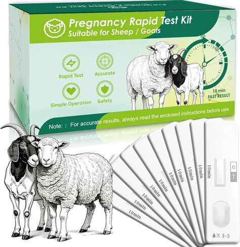 10-Pack Sheep & Goat Early Pregnancy Test - Detect Pregnancy in 5-10 Minutes with Urine, Easy Home Breeding Confirmation Kit for Accurate Livestock Management in Kuwait