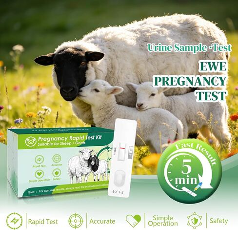 10-Pack Sheep & Goat Early Pregnancy Test - Detect Pregnancy in 5-10 Minutes with Urine, Easy Home Breeding Confirmation Kit for Accurate Livestock Management in Kuwait
