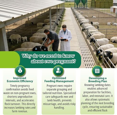 10-Pack Sheep & Goat Early Pregnancy Test - Detect Pregnancy in 5-10 Minutes with Urine, Easy Home Breeding Confirmation Kit for Accurate Livestock Management in Kuwait