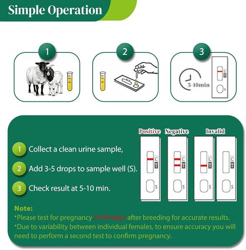 10-Pack Sheep & Goat Early Pregnancy Test - Detect Pregnancy in 5-10 Minutes with Urine, Easy Home Breeding Confirmation Kit for Accurate Livestock Management in Kuwait