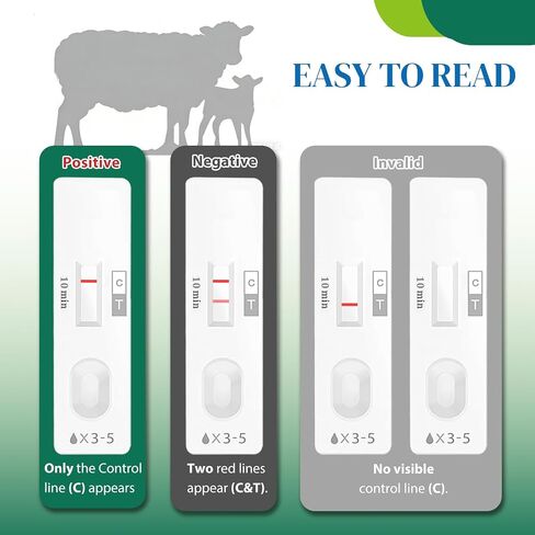 10-Pack Sheep & Goat Early Pregnancy Test - Detect Pregnancy in 5-10 Minutes with Urine, Easy Home Breeding Confirmation Kit for Accurate Livestock Management in Kuwait