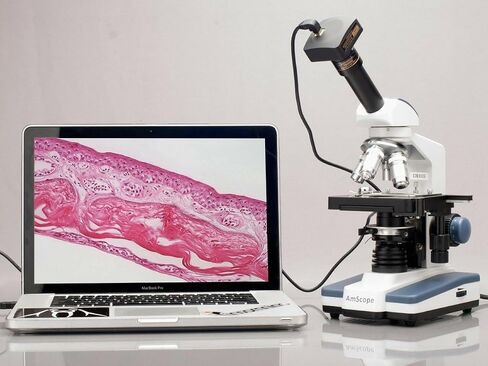 AmScope M620B Compound Monocular Microscope, WF10x and WF20x Eyepieces, 40x-2000x Magnification, Brightfield, LED Illumination, Abbe Condenser, Mechanical Stage, 110V | 40X-2000X Magnification Range Compound Biological Microscope Mechanical Stage Built-In in Kuwait