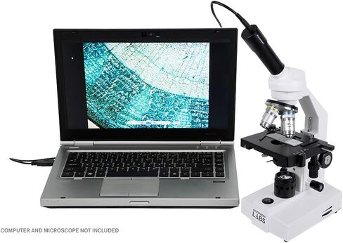 Celestron 2MP Digital Microscope Imager for Classroom Imaging | Convert Your Microscope to Digital, Capture Photos & Video, Fits Most Microscopes, USB Powered, Great for Education in Kuwait